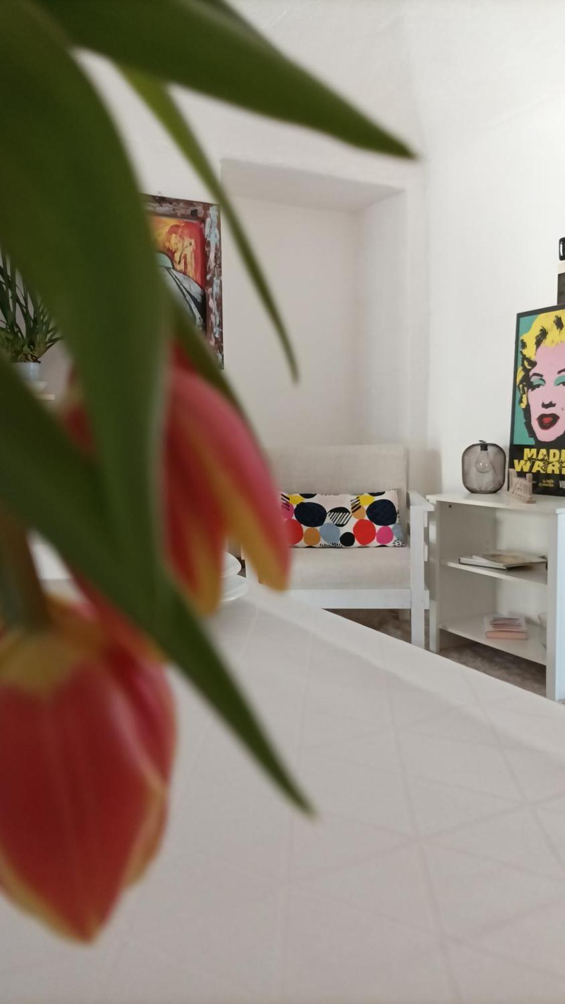 Quick Home - Interno 45 Biella Quarto foto